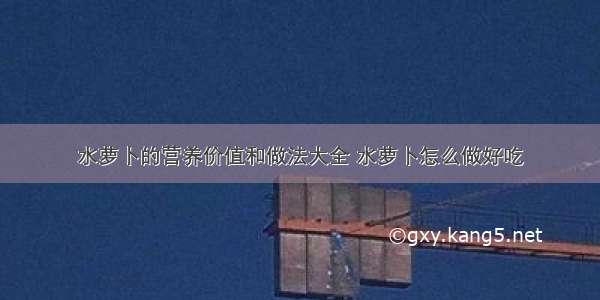 水萝卜的营养价值和做法大全 水萝卜怎么做好吃