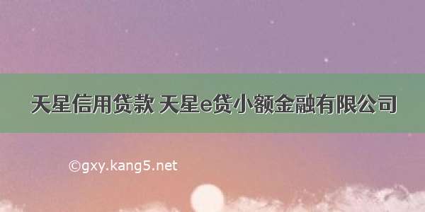 天星信用贷款 天星e贷小额金融有限公司