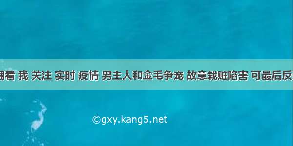 刷新 翻看 我 关注 实时 疫情 男主人和金毛争宠 故意栽赃陷害 可最后反而是偷