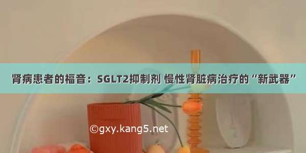 肾病患者的福音：SGLT2抑制剂 慢性肾脏病治疗的“新武器”