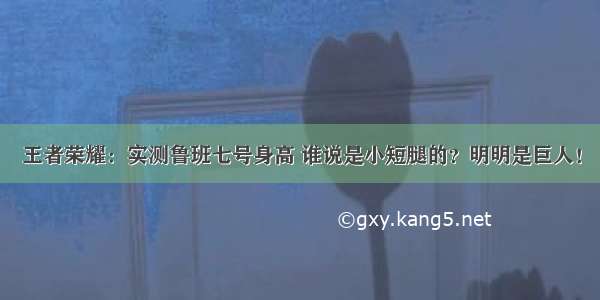 王者荣耀：实测鲁班七号身高 谁说是小短腿的？明明是巨人！