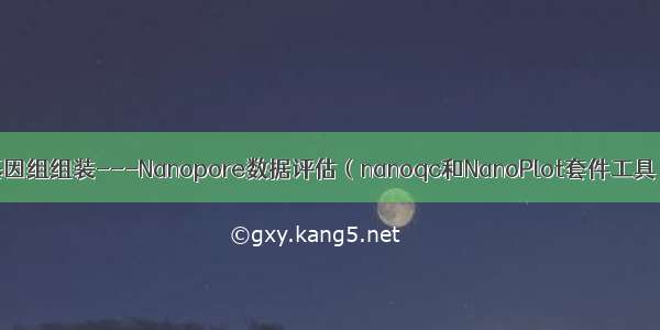 基因组组装---Nanopore数据评估（nanoqc和NanoPlot套件工具）