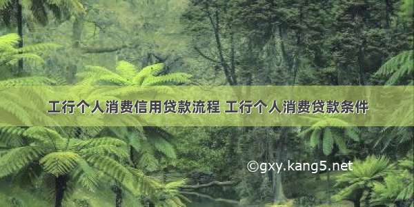 工行个人消费信用贷款流程 工行个人消费贷款条件