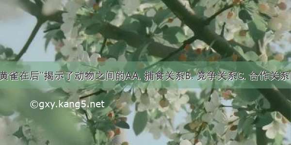 “螳螂捕蝉 黄雀在后”揭示了动物之间的AA. 捕食关系B. 竞争关系C. 合作关系D. 互利关系