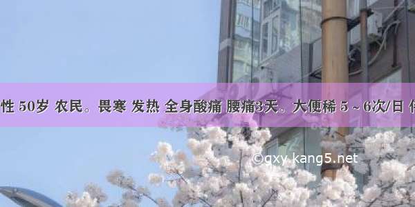 患者男性 50岁 农民。畏寒 发热 全身酸痛 腰痛3天。大便稀 5～6次/日 伴呕吐6