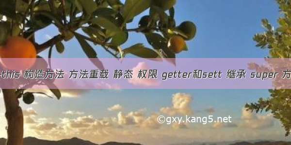 面向对象1---this 构造方法 方法重载 静态 权限 getter和sett 继承 super 方法重写 多态