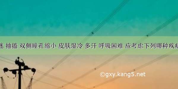 患者昏迷 抽搐 双侧瞳孔缩小 皮肤湿冷 多汗 呼吸困难 应考虑下列哪种疾病可能性