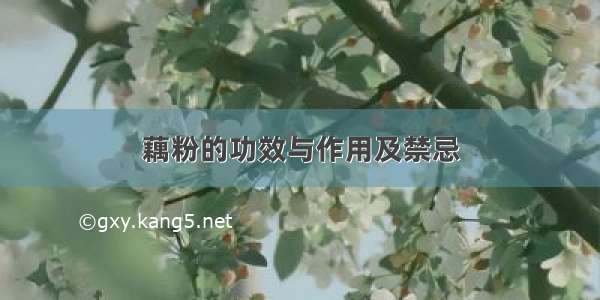 藕粉的功效与作用及禁忌