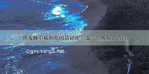 诱发肺心病的原因请记住！支气管疾病占首位