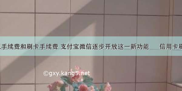 信用卡取现手续费和刷卡手续费 支付宝微信逐步开放这一新功能 – 信用卡刷卡 – 前端