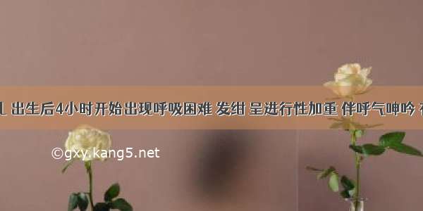 一早产儿 出生后4小时开始出现呼吸困难 发绀 呈进行性加重 伴呼气呻吟 有鼻翼扇