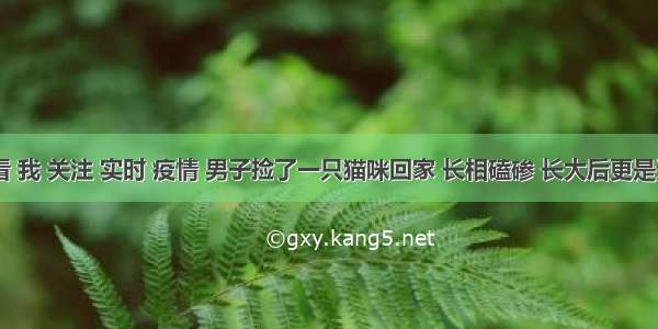 刷新 翻看 我 关注 实时 疫情 男子捡了一只猫咪回家 长相磕碜 长大后更是无法直视