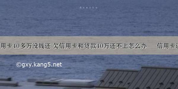 欠网贷及信用卡40多万没钱还 欠信用卡和贷款40万还不上怎么办 – 信用卡还款 – 前端