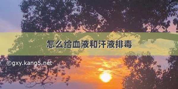 怎么给血液和汗液排毒