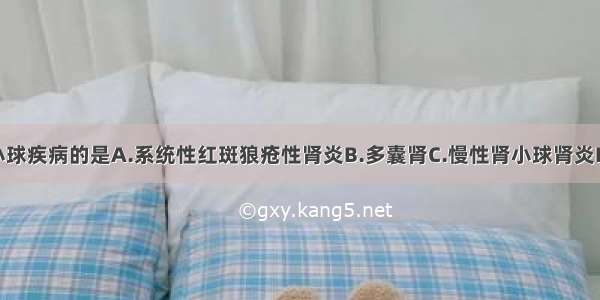 属继发性肾小球疾病的是A.系统性红斑狼疮性肾炎B.多囊肾C.慢性肾小球肾炎D.急性肾小球