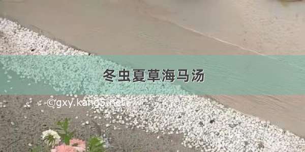 冬虫夏草海马汤