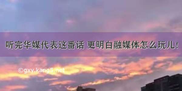 听完华媒代表这番话 更明白融媒体怎么玩儿！