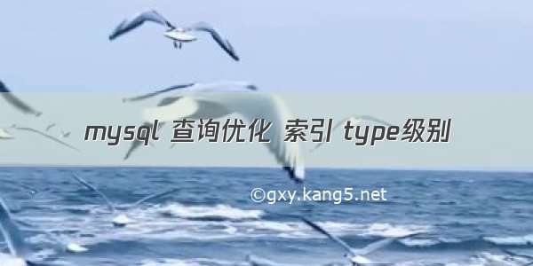 mysql 查询优化 索引 type级别