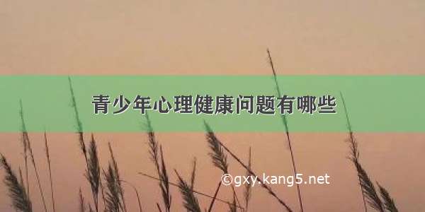 青少年心理健康问题有哪些