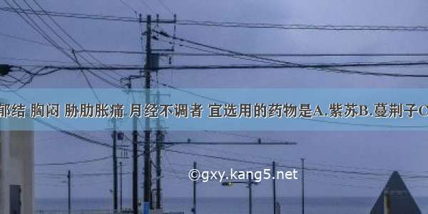 治疗肝气郁结 胸闷 胁肋胀痛 月经不调者 宜选用的药物是A.紫苏B.蔓荆子C.蝉蜕D.薄