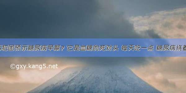 餐后犯困预示糖尿病早期？它是血糖的死对头 每天吃一点 糖尿病绕着走！