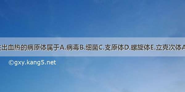 流行性出血热的病原体属于A.病毒B.细菌C.支原体D.螺旋体E.立克次体ABCDE