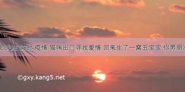 刷新 翻看 我 关注 实时 疫情 猫咪出门寻找爱情 回来生了一窝丑宝宝 你男朋友是钟馗吗？