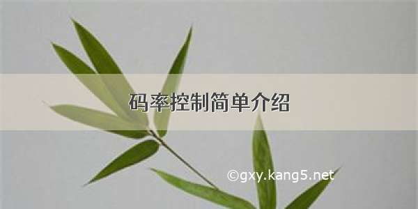 码率控制简单介绍