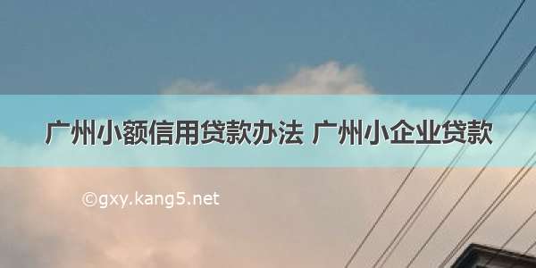 广州小额信用贷款办法 广州小企业贷款