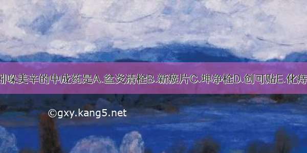 含吲哚美辛的中成药是A.盆炎清栓B.新癀片C.坤净栓D.创可贴E.化痔栓