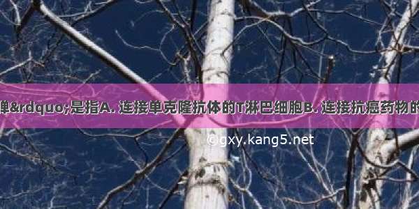 “生物导弹”是指A. 连接单克隆抗体的T淋巴细胞B. 连接抗癌药物的单克隆抗体C. 产