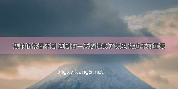 我的伤你看不到 直到有一天我攒够了失望 你也不再重要