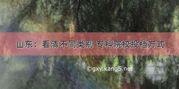 山东：看清不同类别 专科院校投档方式