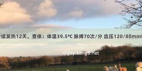 女 30岁。持续发热12天。查体：体温39.5℃ 脉搏70次/分 血压120/80mmHg 精神萎靡