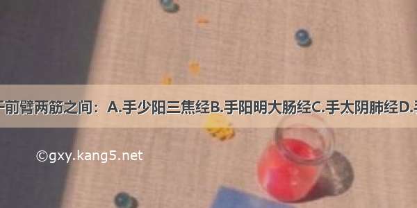 下列何经行于前臂两筋之间：A.手少阳三焦经B.手阳明大肠经C.手太阴肺经D.手厥阴心包经