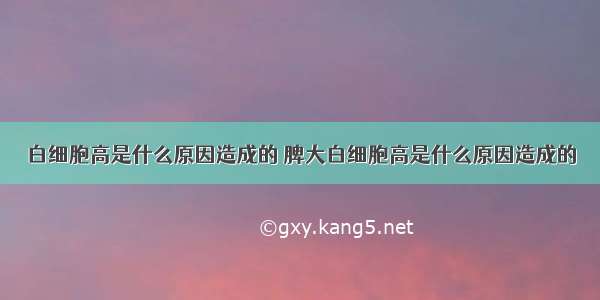 白细胞高是什么原因造成的 脾大白细胞高是什么原因造成的