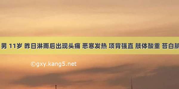 华×× 男 11岁 昨日淋雨后出现头痛 恶寒发热 项背强直 肢体酸重 苔白腻 脉浮