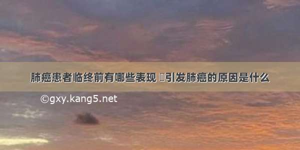 肺癌患者临终前有哪些表现 	引发肺癌的原因是什么