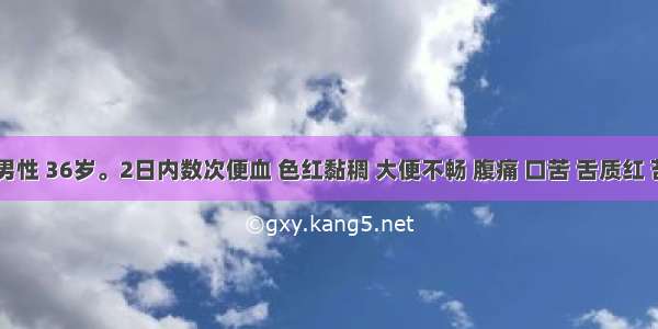 患者 男性 36岁。2日内数次便血 色红黏稠 大便不畅 腹痛 口苦 舌质红 苔黄腻