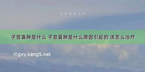 子宫囊肿是什么 子宫囊肿是什么原因引起的 该怎么治疗