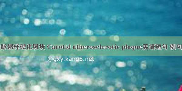 颈动脉粥样硬化斑块 Carotid atherosclerotic plaque英语短句 例句大全