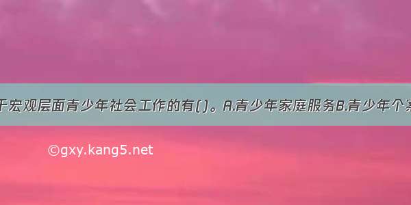 下列各项属于宏观层面青少年社会工作的有()。A.青少年家庭服务B.青少年个案辅导C.青少