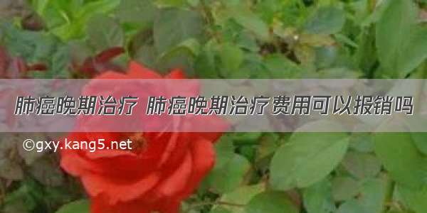 肺癌晚期治疗 肺癌晚期治疗费用可以报销吗