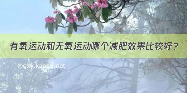 有氧运动和无氧运动哪个减肥效果比较好？