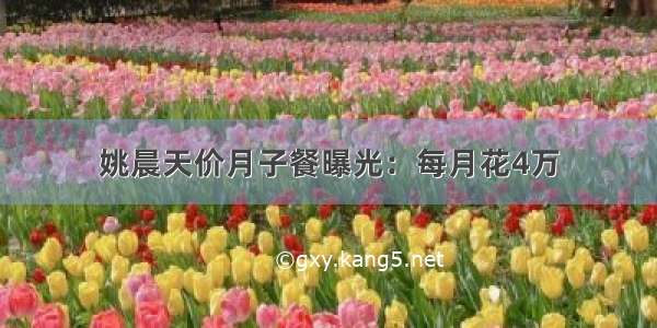 姚晨天价月子餐曝光：每月花4万