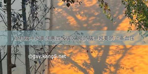 治疗脑中风要注意四大误区 预防脑中风要防止高血压