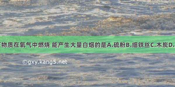 以下物质在氧气中燃烧 能产生大量白烟的是A.硫粉B.细铁丝C.木炭D.红磷