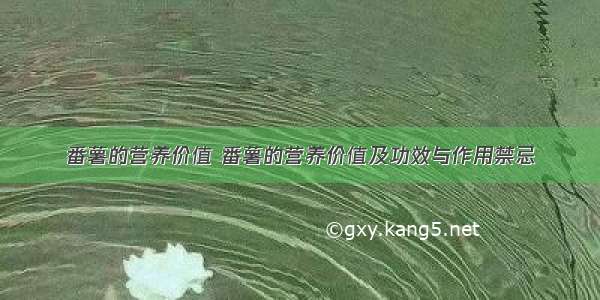 番薯的营养价值 番薯的营养价值及功效与作用禁忌