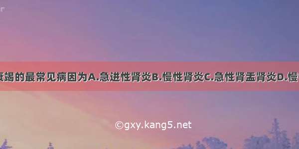 慢性肾功能衰竭的最常见病因为A.急进性肾炎B.慢性肾炎C.急性肾盂肾炎D.慢性肾盂肾炎E.