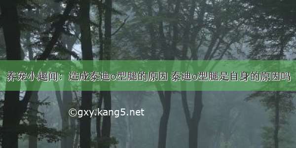 养宠小趣闻：造成泰迪o型腿的原因 泰迪o型腿是自身的原因吗